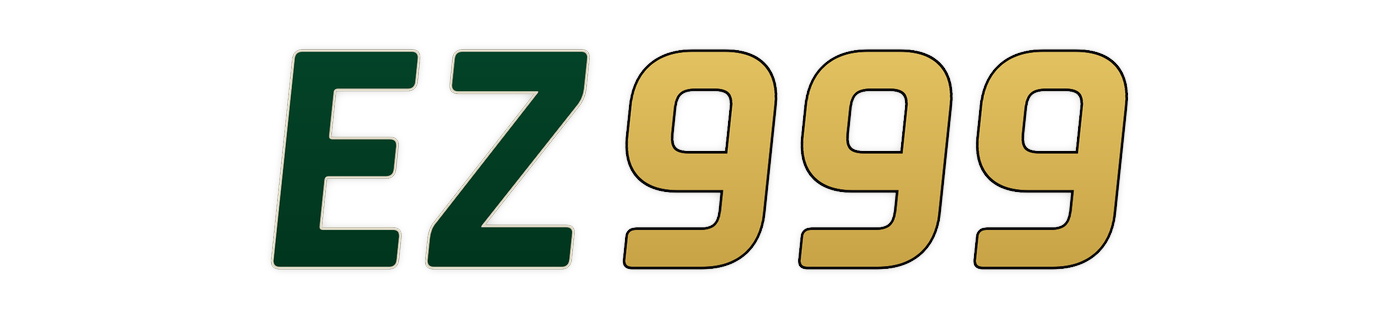 ez999 Logo